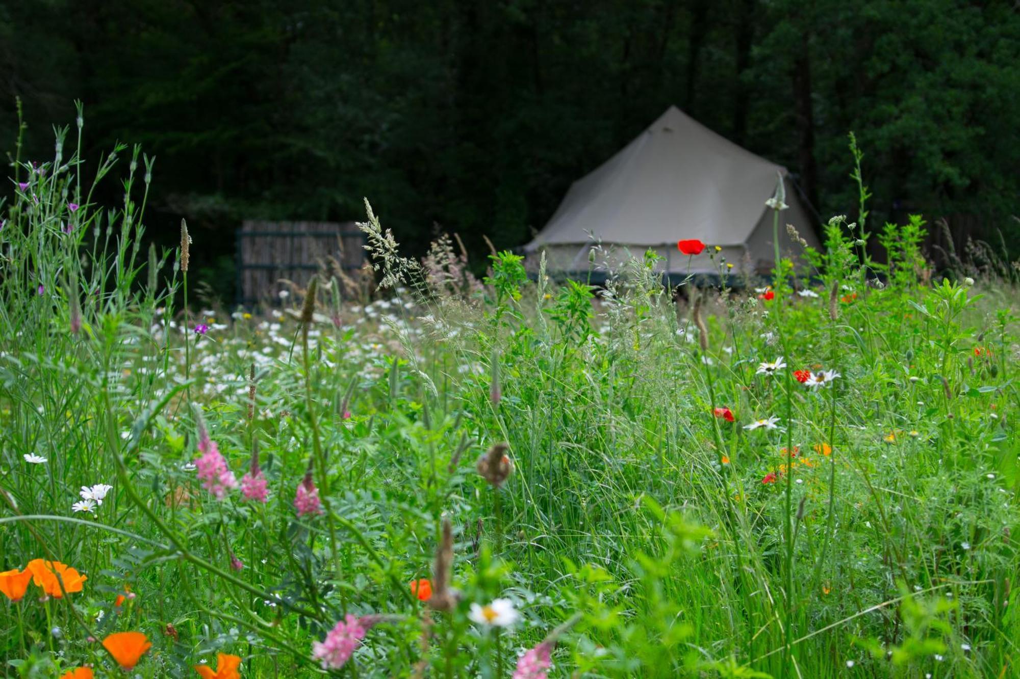 Belair Le Camping Champagnac-de-Bélair Exteriér fotografie