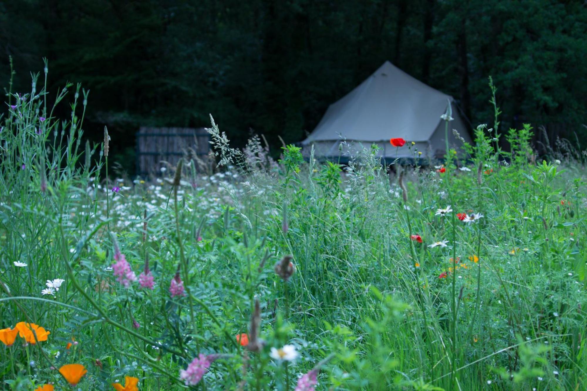 Belair Le Camping Champagnac-de-Bélair Exteriér fotografie